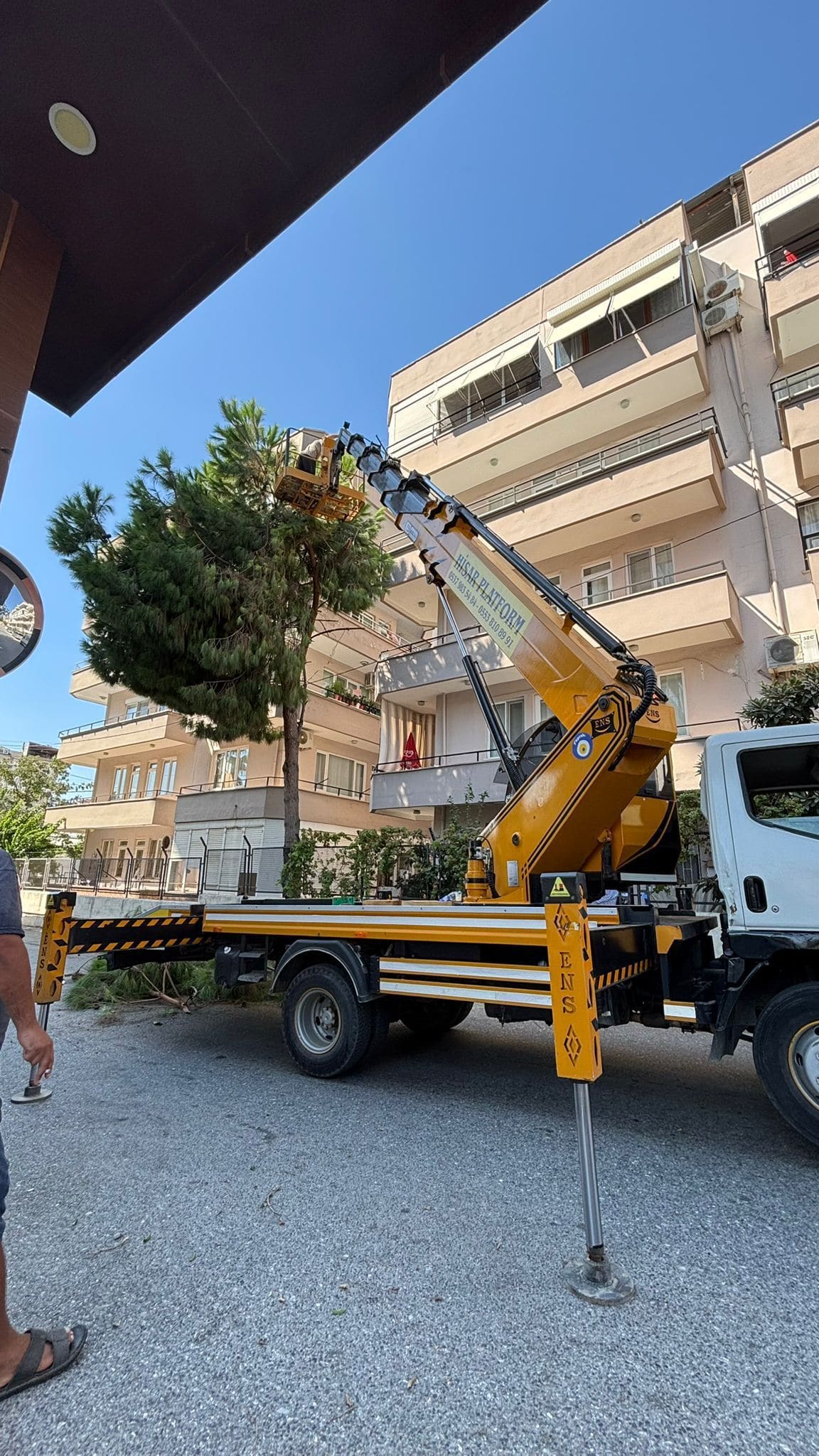 Apartman önünde sepetli vinç ile ağaç budama çalışması