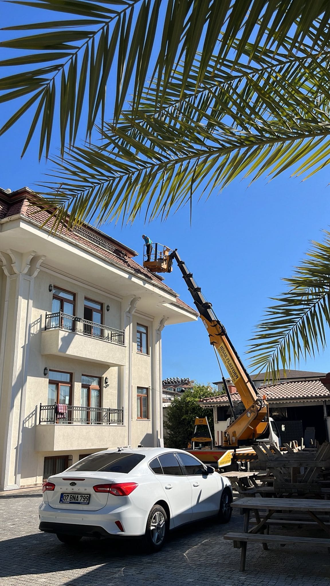 Palmiyeli bir sitede sepetli vinç ile yüksek alan bakımı